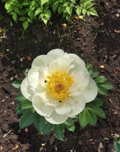IMG_20210615_175223.jpg