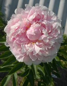 WP_20210624_009.jpg