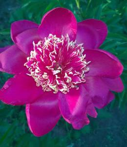WP_20210624_024.jpg