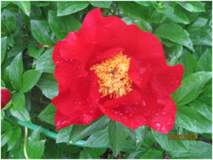 image.thumb.png.4d96390d099f4f3b7df24e0f5064cb9e.png