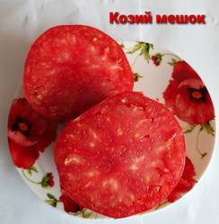 Козий мешок, 15 июля