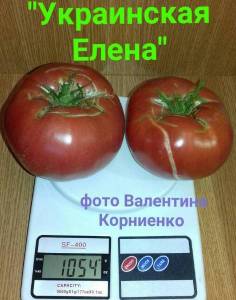 изображение_viber_2021-08-24_20-52-32-846.jpg