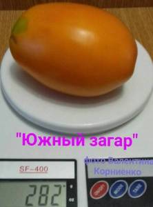 изображение_viber_2021-08-21_14-39-13-039.jpg