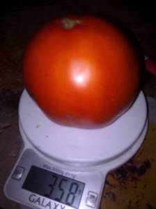 IMG_20210801_202834.jpg