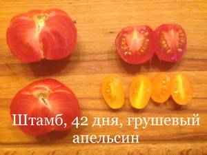 IMG_4919.JPG