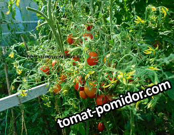 1кас 28.1 DSCN3175 подписан.png