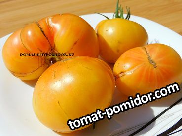 1сладкий кл.png