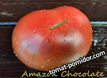 Amazon Chocolate1.jpg