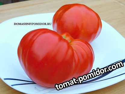 1ярсон 8 DSCN3341 подписан.png