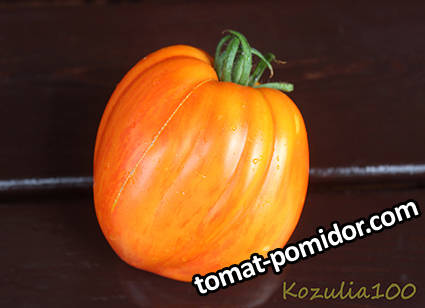 Kozulia 100 .jpg