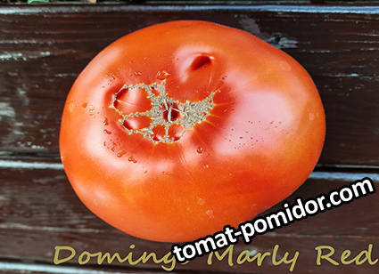 Domingo Marly Red.jpg