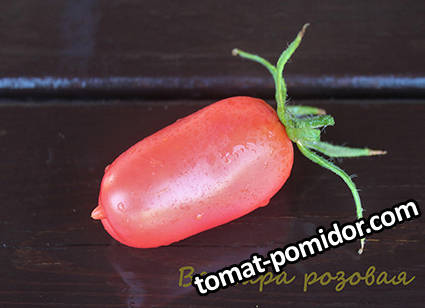 Варвара розовая1.jpg