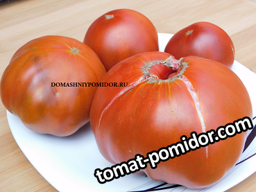 1ивунтянский великан DSCN1708 подписан.png