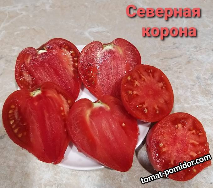 Сорт томата Северная корона. Томат северная корона