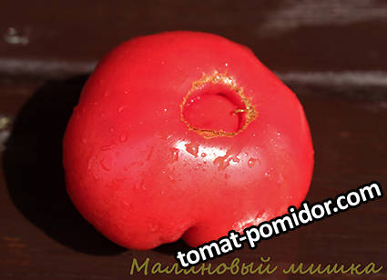 Малиновый Мишка.jpg