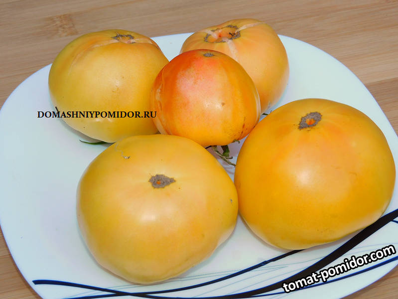 ананас бальбао DSCN1618 подписан.jpg