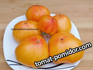 1ананас малибу DSCN1555 подписан.png