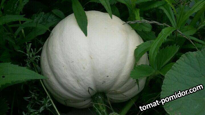 Люмина