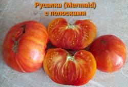 Русалка с полосками.jpg