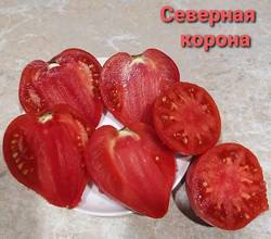 Северная корона.jpg