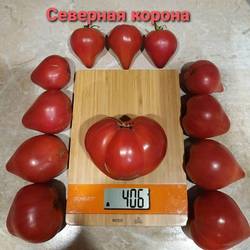 Северная корона1.jpg