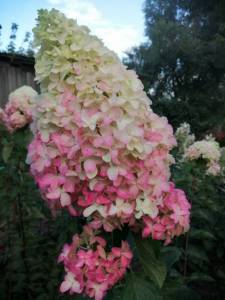 WhatsApp Image 2021-09-05 at 21.50.08 (2).jpeg