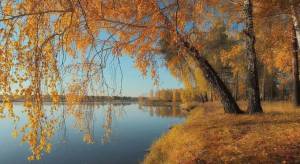 i (3)_edit_60711617865735.jpg