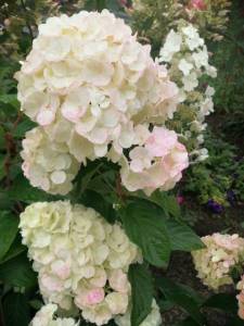 WhatsApp Image 2021-09-08 at 12.07.15 (2).jpeg