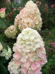 WhatsApp Image 2021-09-08 at 12.07.15 (1).jpeg