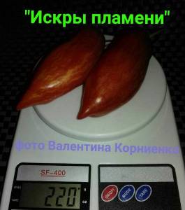 изображение_viber_2021-09-03_19-24-25-356.jpg