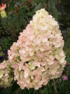 WhatsApp Image 2021-09-08 at 12.07.15 (3).jpeg