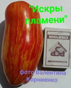 изображение_viber_2021-08-13_20-29-34-309.jpg