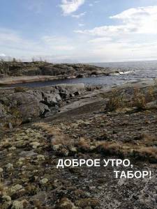 Доброе утро.jpg