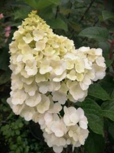 WhatsApp Image 2021-09-08 at 12.07.15 (4).jpeg