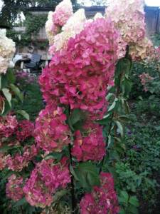 WhatsApp Image 2021-09-05 at 21.50.08.jpeg