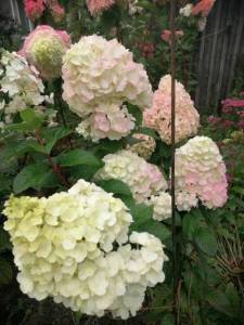 WhatsApp Image 2021-09-08 at 12.07.15.jpeg