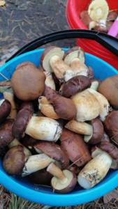 IMG-20210925-WA0028.jpeg