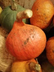 IMG_20210914_195240.jpg