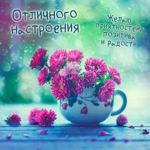 kartinka-otlichnogo-nastroeniya-i-pozitiva.jpg