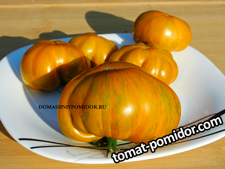 1козула 83.png