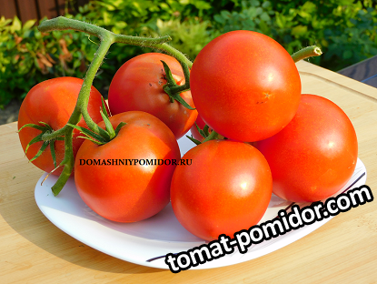 1Андрея Мещерякова № 2.png