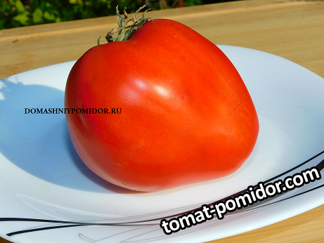 1б.с. из коблншкова.png