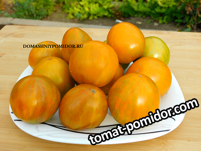 1 гном полосатый джереми.png