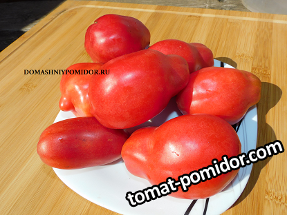 1томочка.png