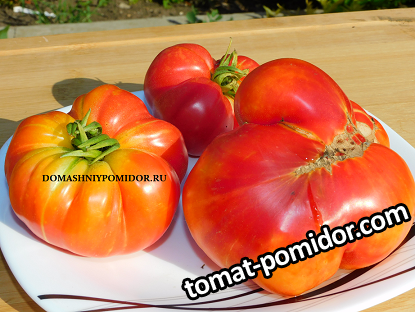 1конкурс жёлтой звезды.png