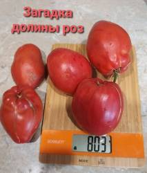 Загадка долины роз.jpg