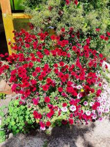 image-2021-10-24 08_45_11.jpg