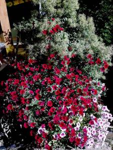 image-2021-10-24 08_46_49.jpg