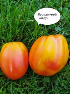 1787144486_i(92).thumb.jpg.eeb31a3b640cc3017d7d605be8593a5c.jpg