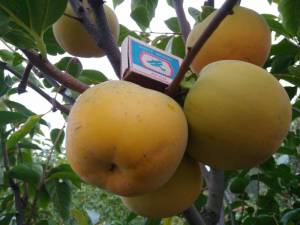 IMG_20211010_102947 — копия.jpg